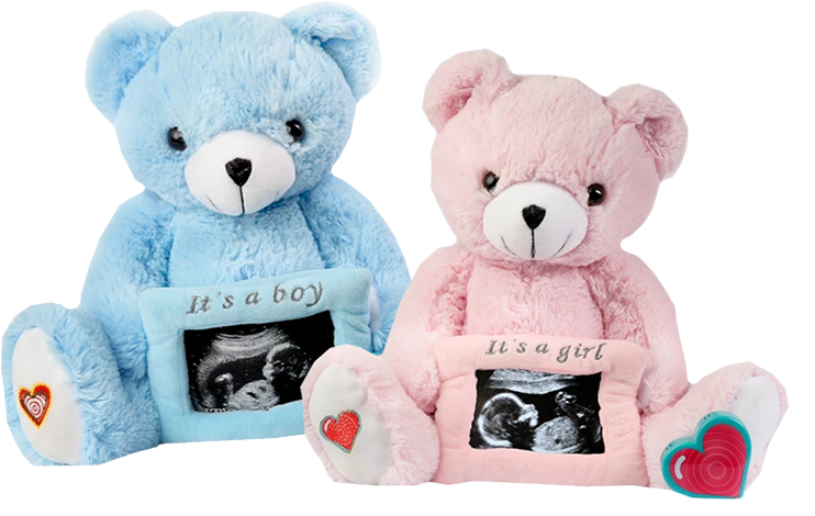 3d ultrasound teddy bear