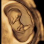 10 WK 3D HD_1 - Copy